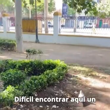 Los parques serían “oasis” si el alcalde, Manuel Serrano, se preocupara más por ...