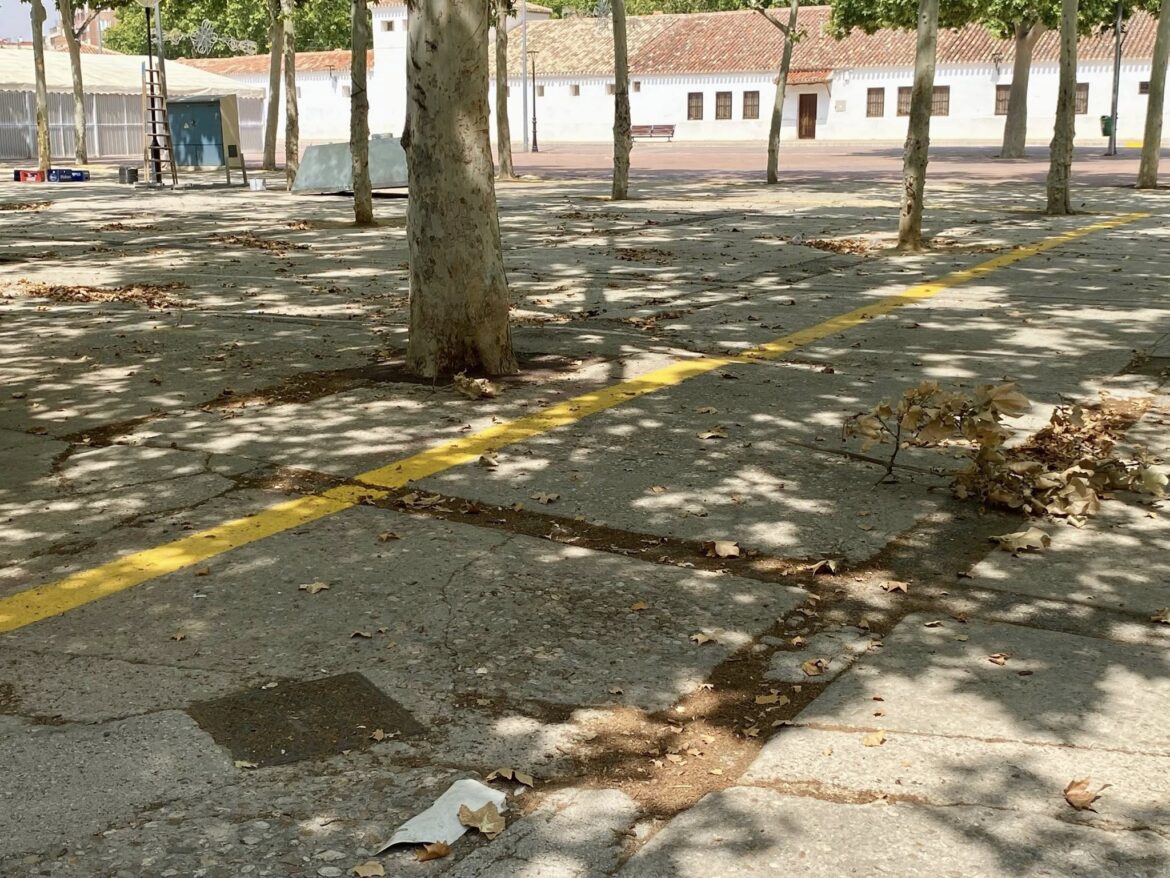 ¿A qué espera el señor Serrano para solucionar los problemas de accesibilidad y ...