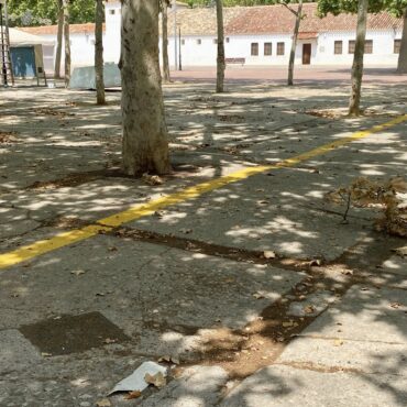 ¿A qué espera el señor Serrano para solucionar los problemas de accesibilidad y ...