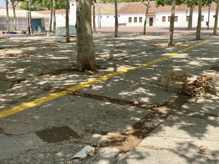 ¿A qué espera el señor Serrano para solucionar los problemas de accesibilidad y ...