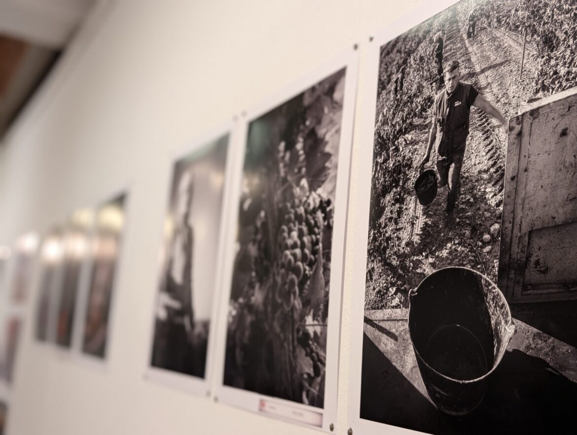 Inaugurada la XVII Liga Fotográfica del Foto Club Almansa en la Casa de Cultura