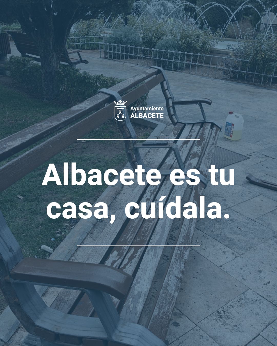 Fondo