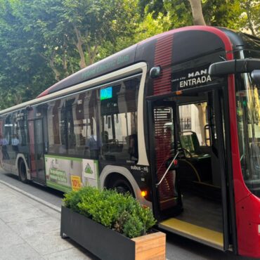 PSOE reclama mejoras en el transporte público de Albacete ante aumento de quejas.