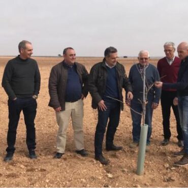 Galería Multimedia04/03/2018Consejería de Agricultura, Ganadería y Desarrollo RuralAlbaceteDurante la visita a una plantación en el término municipal de VillamaleaEl Gobierno regional trabaja en una marca de calidad para el pistacho de Castilla-La Mancha aportando valor y seguridad en la comercializaciónEl director provincial de Agricultura, Medio Ambiente y Desarrollo Rural ha señalado que el pistacho está en continua expansión en la provincia, y que actualmente tiene registradas 3.153 hectáreas, -2.070 de ellas en secano, y 1.083 en regadío-, de un total de 12.000 hectáreas en Castilla la Mancha. Además, Manuel Miranda ha valorado la labor del Centro de Investigación Agraria “El Chaparrillo” de Ciudad Real, a través del Departamento de Investigación de Leñosos, espacio científico y divulgativo sobre la importancia de este fruto seco en Castilla-La Mancha.
 
La Sociedad Agropistacho con plantaciones en Villamalea y Cenizate han trasladado su interés por formar parte de la recién constituida “Asociación del Pistacho en Castilla la Mancha”, una iniciativa impulsada por la Consejería de Agricultura con el objetivo de vertebrar el sector, aportar confianza y seguridad en el futuro de este cultivo, y lograr que el valor añadido de este fruto seco se instale en nuestra región.
Villamalea, 4 de marzo de 2018.- El Gobierno regional se encuentra trabajando en una marca de calidad para el pistacho de Castilla-La Mancha para que los consumidores reconozcan la procedencia de este fruto seco, en la Comunidad Autónoma más importante para este cultivo.
 
El apoyo que el Ejecutivo autonómico viene prestando al pistacho, se realiza desde el Centro Público de Investigación Agraria “El Chaparrillo” de Ciudad Real, y a través del Departamento de Investigación de Leñosos, espacio científico donde se procede a recopilar toda la información necesaria para lograr esta marca de calidad, y seguir difundiendo la importancia que tiene este fruto seco en Castilla-La Mancha.
 
Así lo ha resaltado el director provincial de Agricultura, Medio Ambiente y Desarrollo Rural, Manuel Miranda durante la visita a una plantación de pistacho de la Sociedad Agropistacho, en Villamalea, junto al alcalde de la localidad, Cecilio González.
 
Estos agricultores que también cultivan en el término municipal de Cenizate han trasladado su interés para formar parte de la recién constituida “Asociación del Pistacho en Castilla la Mancha”, una iniciativa “impulsada por la Consejería de Agricultura con el objetivo de vertebrar el sector, aportar confianza y seguridad en el futuro de este cultivo, y lograr que el valor añadido se instale en nuestra región”, ha recordado Miranda.
 Datos sobre el pistacho en la provincia de Albacete
 
El cultivo del pistacho en Albacete continúa en franca expansión, habiéndose convertido en una alternativa muy interesante para los agricultores de la provincia, tanto en secano como en regadío.
 
En la provincia de Albacete se cultivan actualmente, según la solicitud unificada del año 2017, 3.153 hectáreas de pistacho, 2.070 de ellas en secano, y 1.083 en regadío, de un total de 12.000 hectáreas en Castilla la Mancha. 
 
La Consejería de Agricultura, Medio Ambiente y Desarrollo Rural ha incidido en que se están llevando a cabo muchas plantaciones durante la presente campaña, por lo que, cuando finalicen el plazo de la solicitud unificada, el próximo 30 de abril, se computará en la provincia y en la región mucha más superficie que la registrada actualmente.
 
Por último, el director provincial informó a los agricultores sobre las distintas líneas de ayudas que el Gobierno Regional pone a su disposición, tales como “la línea de Incorporación de Jóvenes a la actividad agraria y de mejora y modernización de explotaciones agrarias”, con la que se puede sufragar la importante inversión que supone llevar a cabo una plantación de pistacho, o la línea de Fomento de la Calidad Agroalimentaria (FOCAL) para subvencionar inversiones relacionadas con el procesado posterior del producto.

      


      
      
    
    Enlace permanente: https://www.castillalamancha.es/node/266889
    

  
  





  
                
    
    
          

  
  





  
                
    
    
      
        
  
  
      
      
Galer&iacutea Multimedia

  
      
          
  
Visita de Manuel Miranda a una plantación de pistacho en VillamaleaDescargar
