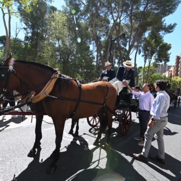 La elegancia del caballo, protagonista en la Feria de Albacete.

El alcalde Man...
