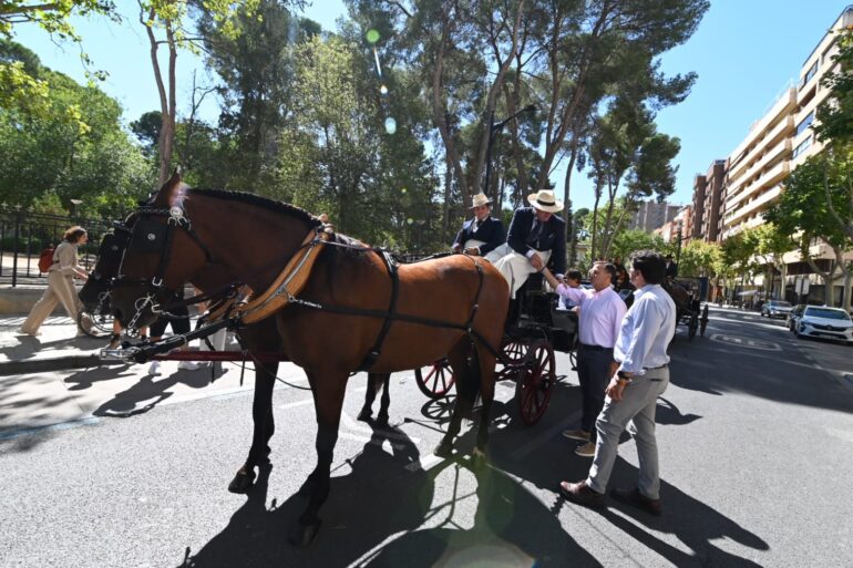 La elegancia del caballo, protagonista en la Feria de Albacete.

El alcalde Man...