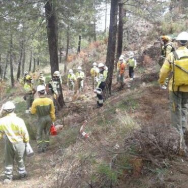 Proyecto Plantando Cara al Fuego