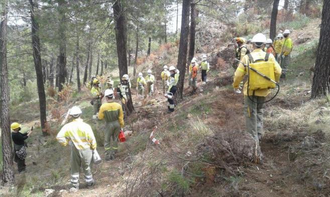 Proyecto Plantando Cara al Fuego
