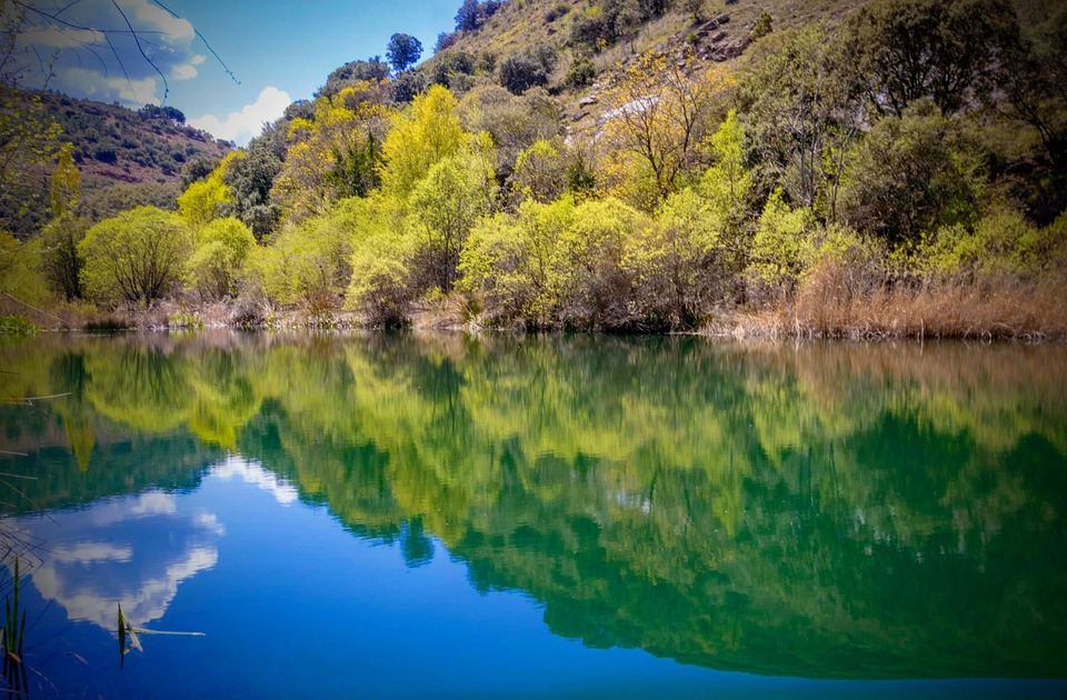 Fondo