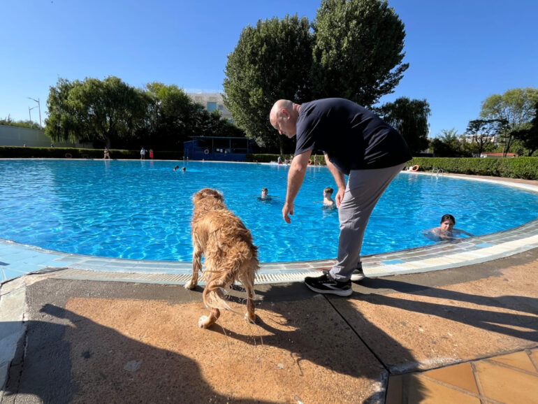 El Piscican ha vuelto en su 9ª edición, permitiendo que nuestras mascotas disfr...