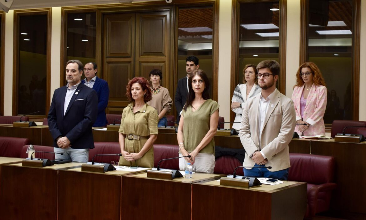 #Violenciamachista.

El #Pleno de #septiembre del Ayuntamiento de Albacete se h...
