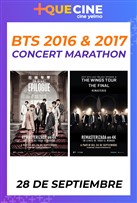 BTS 2016 &amp; 2017 Concert Marathon