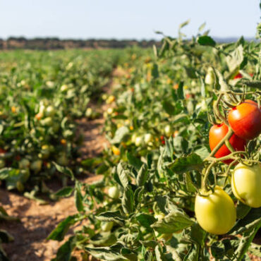 [matched_content] [Keyword]