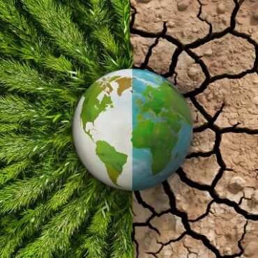 [matched_content] [Keyword]