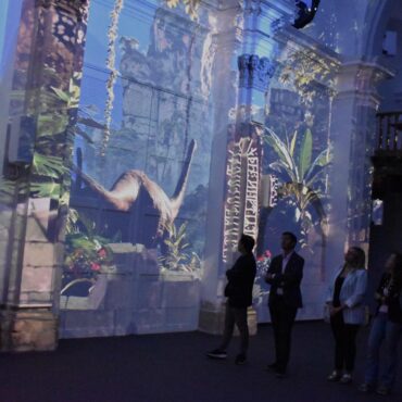 El proyecto ‘Luz Cuenca’, impulsado por el Gobierno regional, estrena el espectáculo ‘Gigantes del Pasado’ sobre paleontología - SURCO CLM, Diario digital