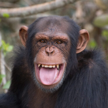 [matched_content] [Keyword]