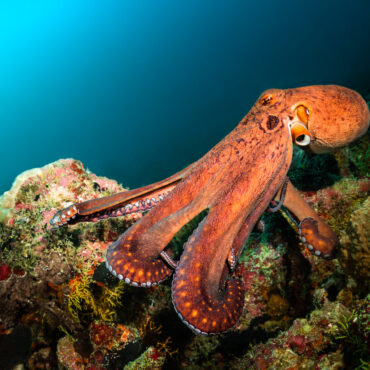 [matched_content] [Keyword]