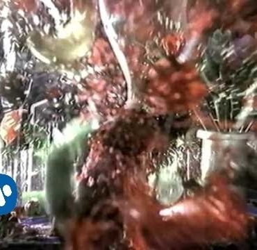 HOMBRES G - Voy A Pasarmelo Bien (Video clip)