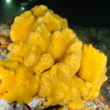 [matched_content] [Keyword]