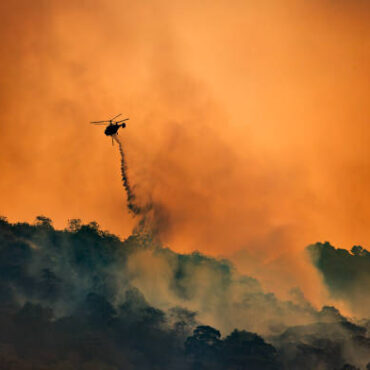 [matched_content] [Keyword]