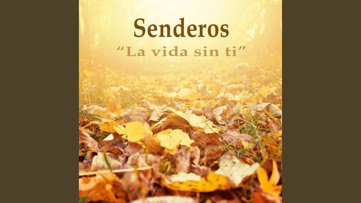 La vida sin ti