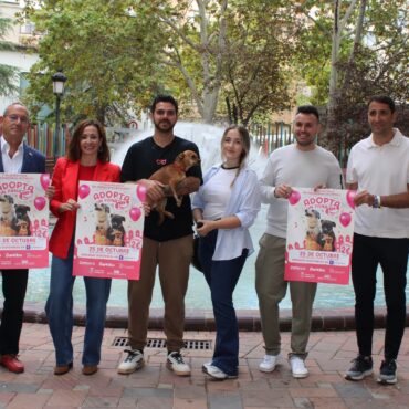 I Feria Nacional de Adopciones en Albacete
 25 de octubre
 IFAB
 11:00 a 22:00
...