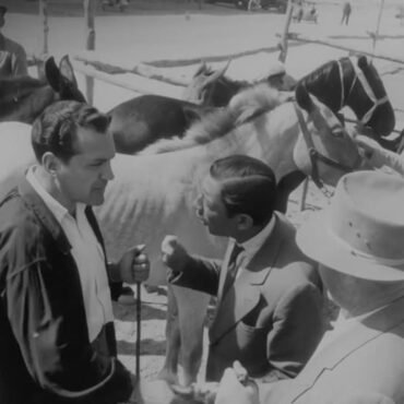 𝐄𝐥 𝟗 𝐝𝐞 𝐧𝐨𝐯𝐢𝐞𝐦𝐛𝐫𝐞 𝐝𝐞 𝟏𝟑𝟕𝟓 𝐚𝐫𝐫𝐚𝐧𝐜𝐨́ 𝐥𝐚 𝐡𝐢𝐬𝐭𝐨𝐫𝐢𝐚 𝐝𝐞 𝐥𝐚 𝐜𝐢𝐮𝐝𝐚𝐝 𝐝𝐞 𝐀𝐥𝐛𝐚𝐜𝐞𝐭𝐞.

Los a...