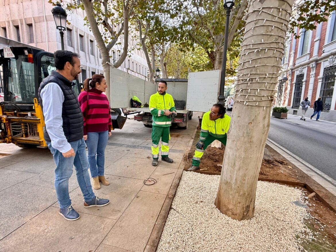 Remodelación del ajardinamiento en el Paseo de la Libertad
El Ayuntamiento de ...