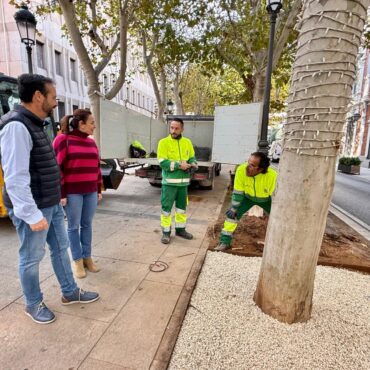 Remodelación del ajardinamiento en el Paseo de la Libertad

El Ayuntamiento de ...