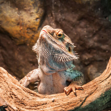 [matched_content] [Keyword]