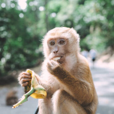 [matched_content] [Keyword]