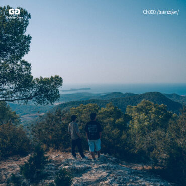 Transition        
        
                                                            Golden Grey                    
        
            
                
                    
                                                                                    PICAP, S.L.