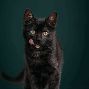 [matched_content] [Keyword]