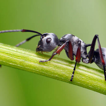 [matched_content] [Keyword]