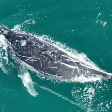 [matched_content] [Keyword]