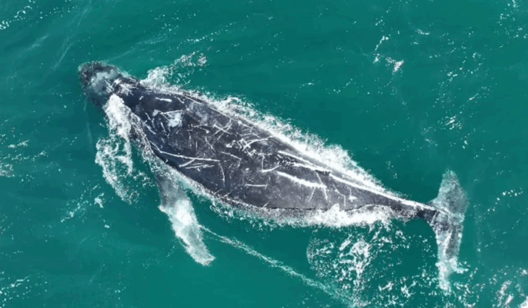 [matched_content] [Keyword]