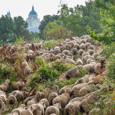 [matched_content] [Keyword]