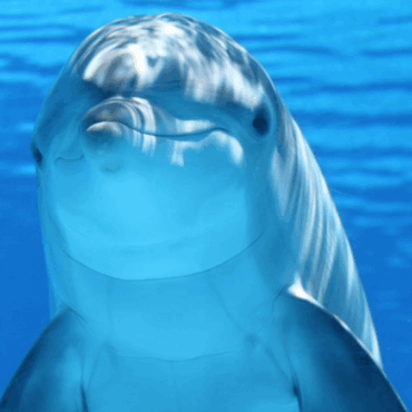 [matched_content] [Keyword]