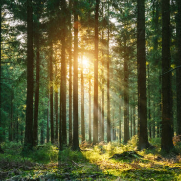 [matched_content] [Keyword]