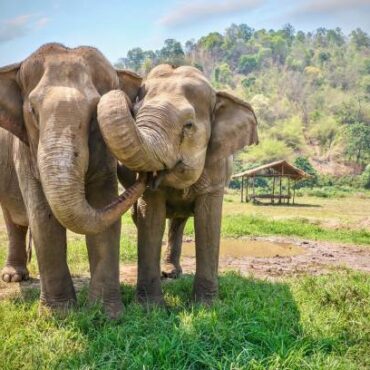 [matched_content] [Keyword]