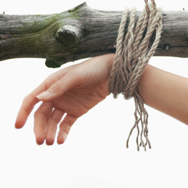 ALCLUB Mireia        
        
                                                            Uri Santafé & Lamliki                    
        
            
                
                    
                                                                                    PICAP, S.L.