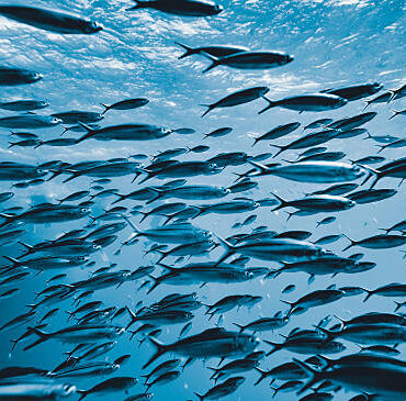 [matched_content] [Keyword]