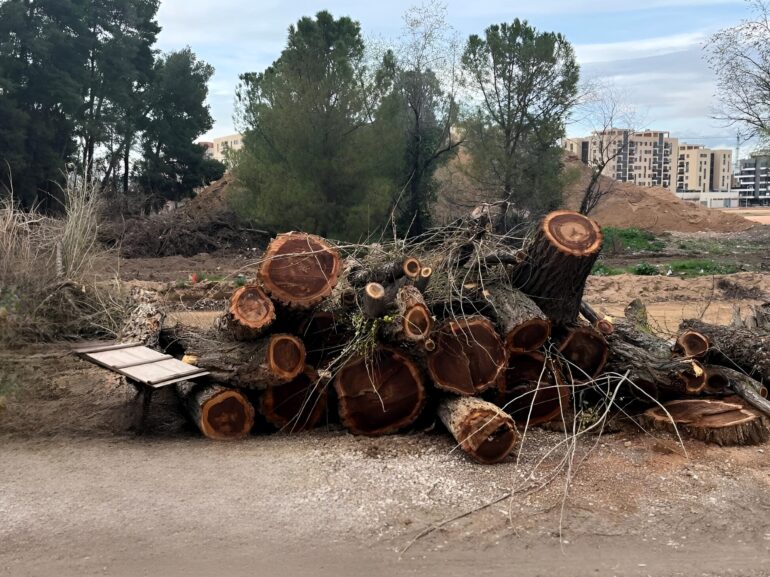 Nuestra concejala Ana Albaladejo Garcia ha criticado la falta de planificación y...