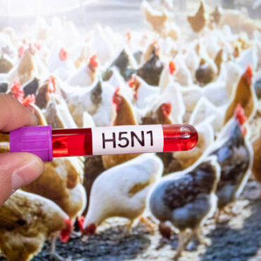 [matched_content] [Keyword]