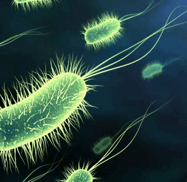 [matched_content] [Keyword]