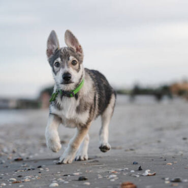 [matched_content] [Keyword]