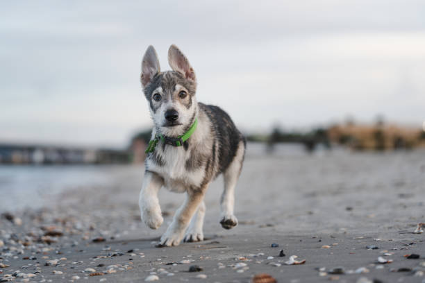 [matched_content] [Keyword]