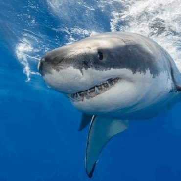 [matched_content] [Keyword]