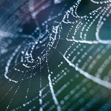 [matched_content] [Keyword]