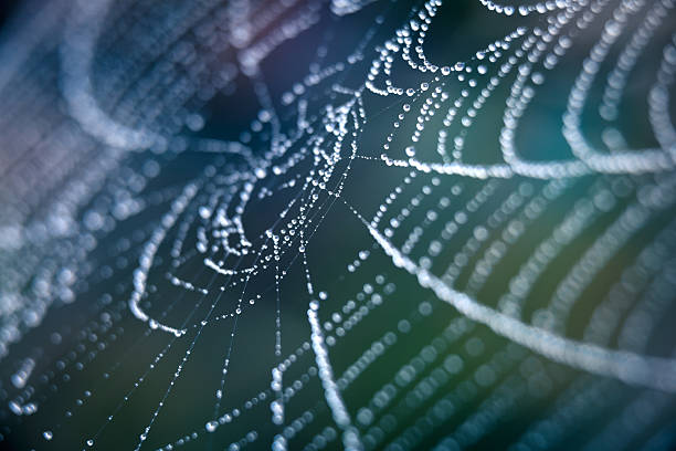 [matched_content] [Keyword]